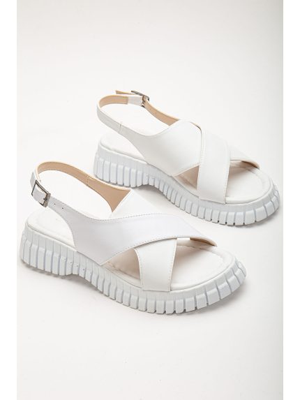 صندل  تونی بلک