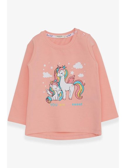 سویشرت  بریز