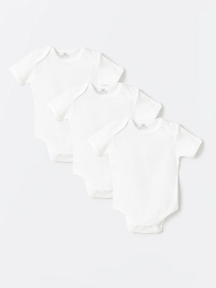 بادی  لوجی بیبی