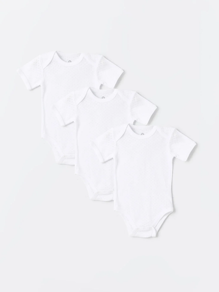 بادی  لوجی بیبی