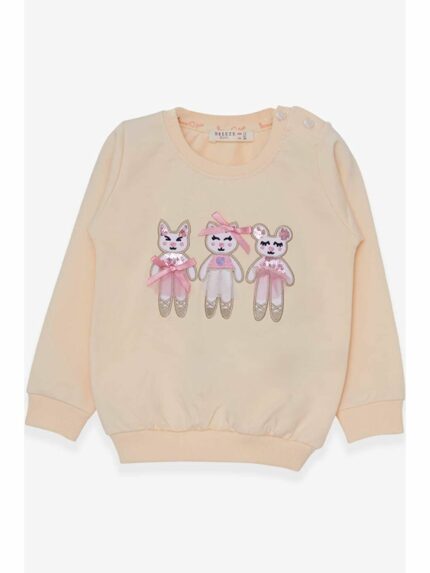 سویشرت  بریز