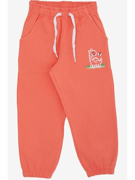 شلوار ورزشی  بریز