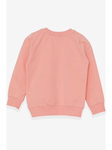 سویشرت  بریز