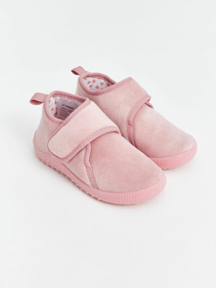 پاندوف  ال سی وایکیکی