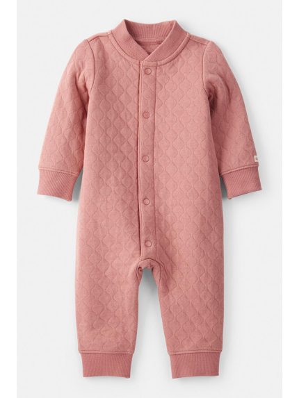 سرهمی  کارترز