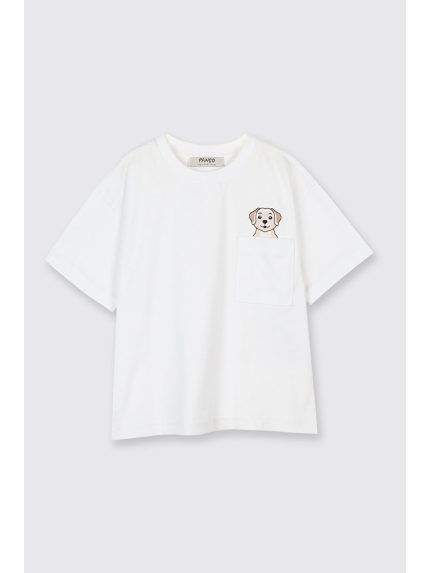 تی شرت  پانچو