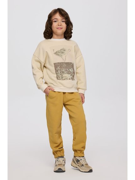 سویشرت  پانچو