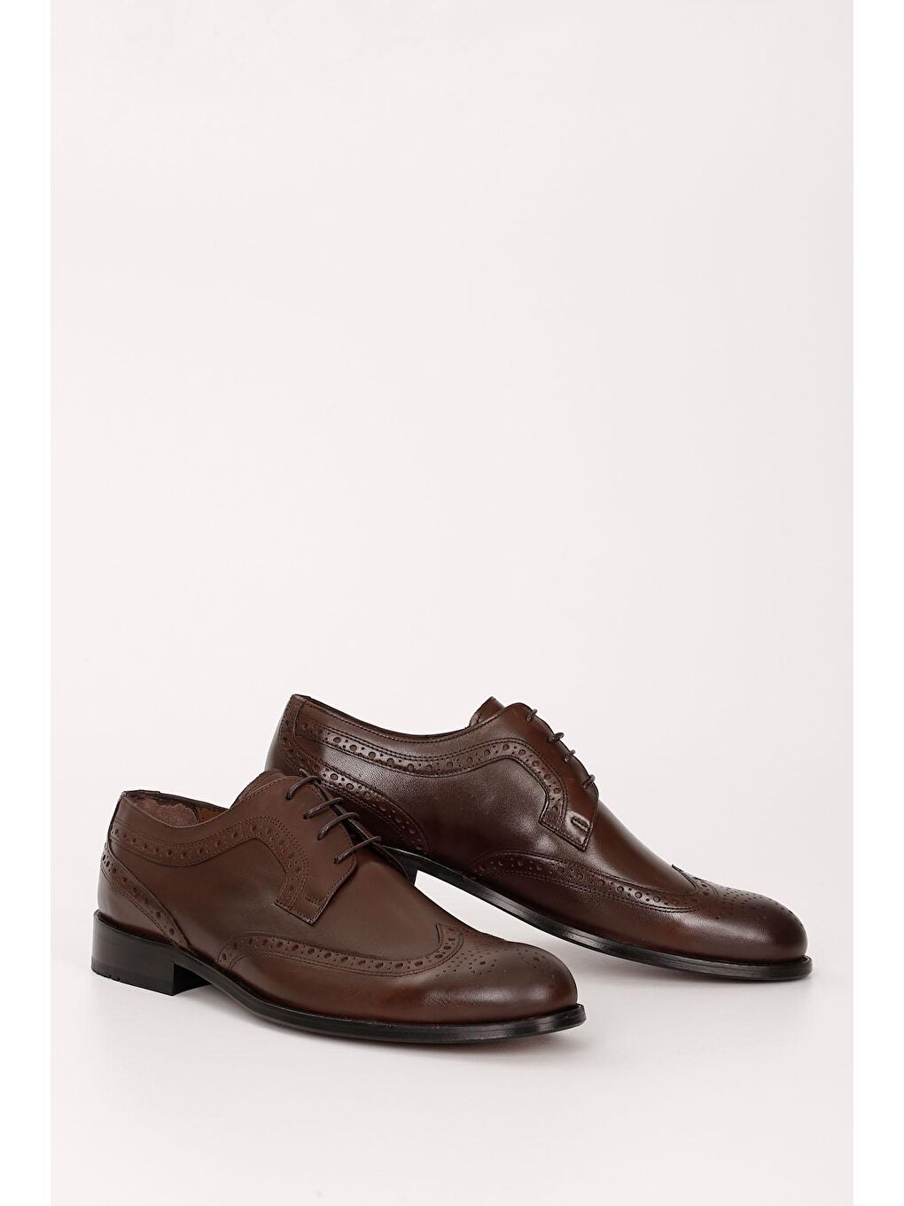 کفش کلاسیک  گوندریر